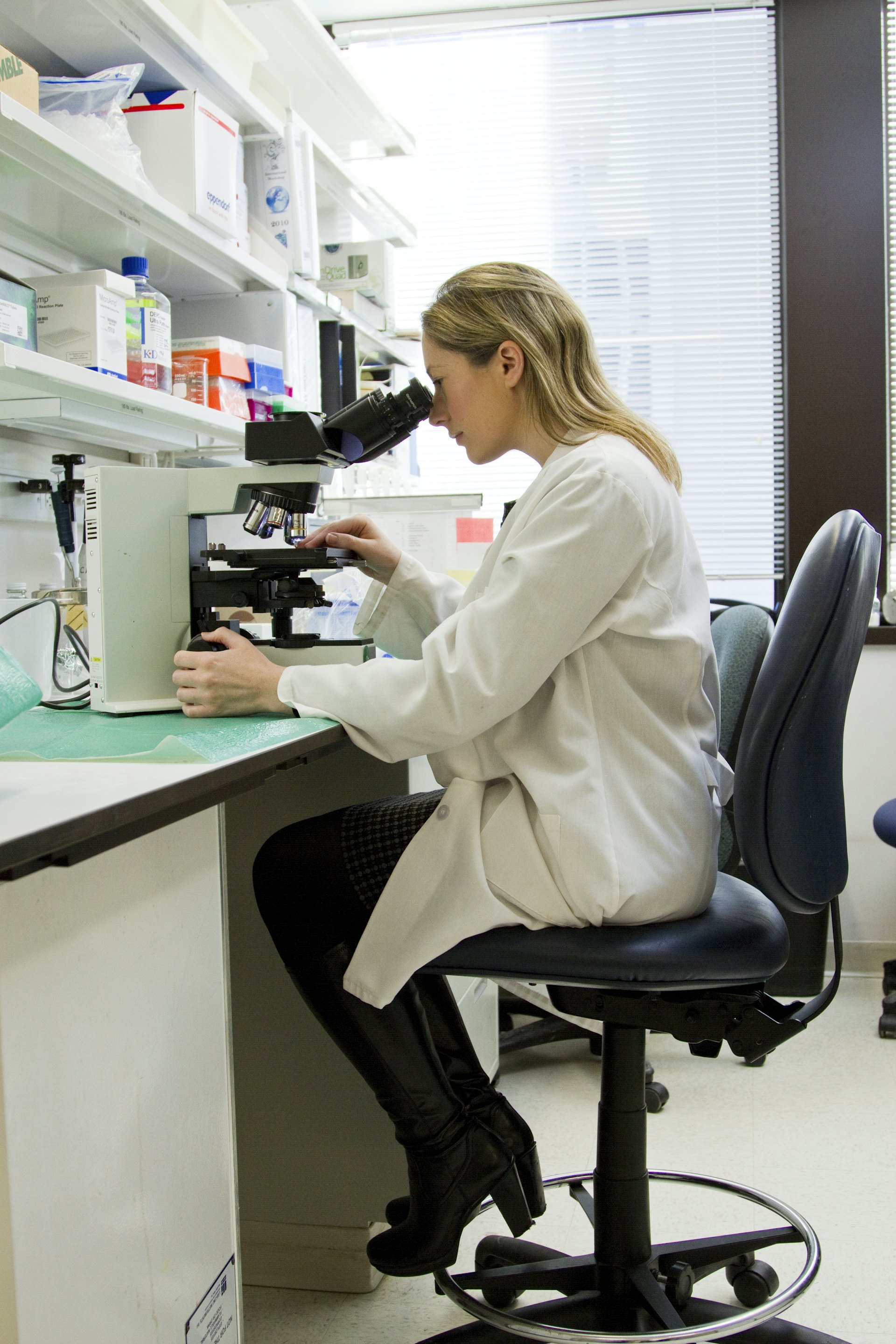 The laboratory